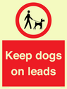 dogs-on-lead-symbol-with-black-text-on-white-background~